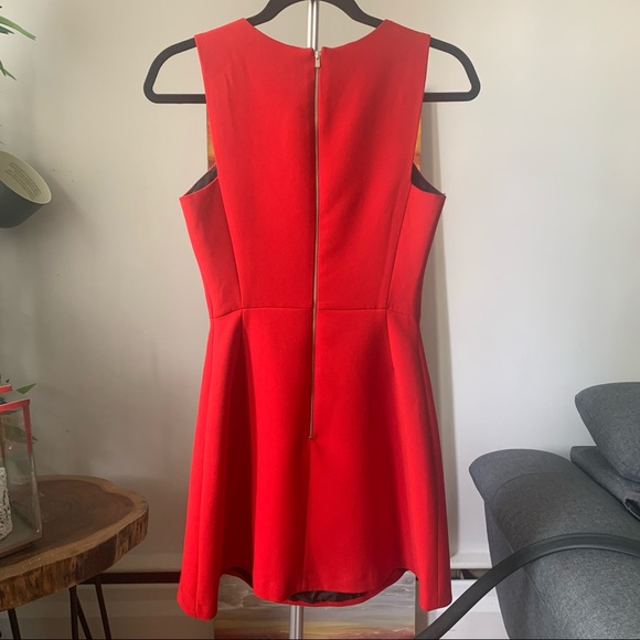 Zara Mini Dress - Picture 2 of 2